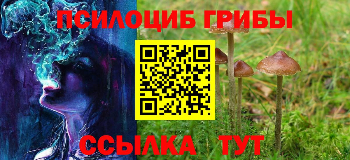 Псилоцибиновые грибы Psilocybine cubensis Каменск-Уральский