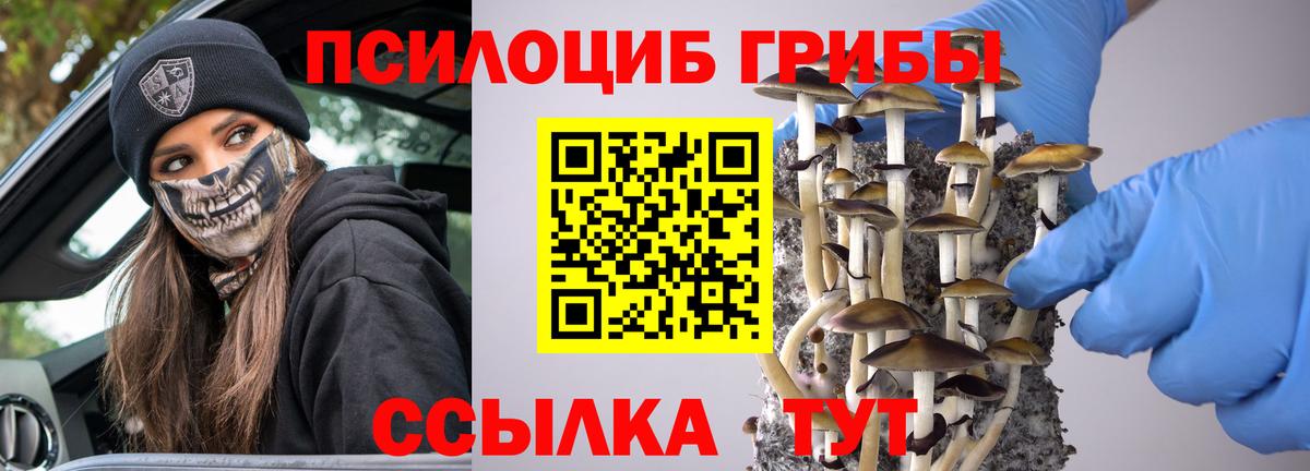 Галлюциногенные грибы мухоморы  Вход с VPN  Каменск-Уральский  где купить наркотик  Псилоцибиновые грибы прущие грибы 